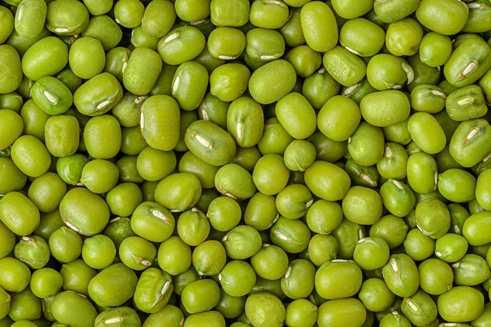 Fasolea Mung: descoperă beneficiile acestei legume minunate