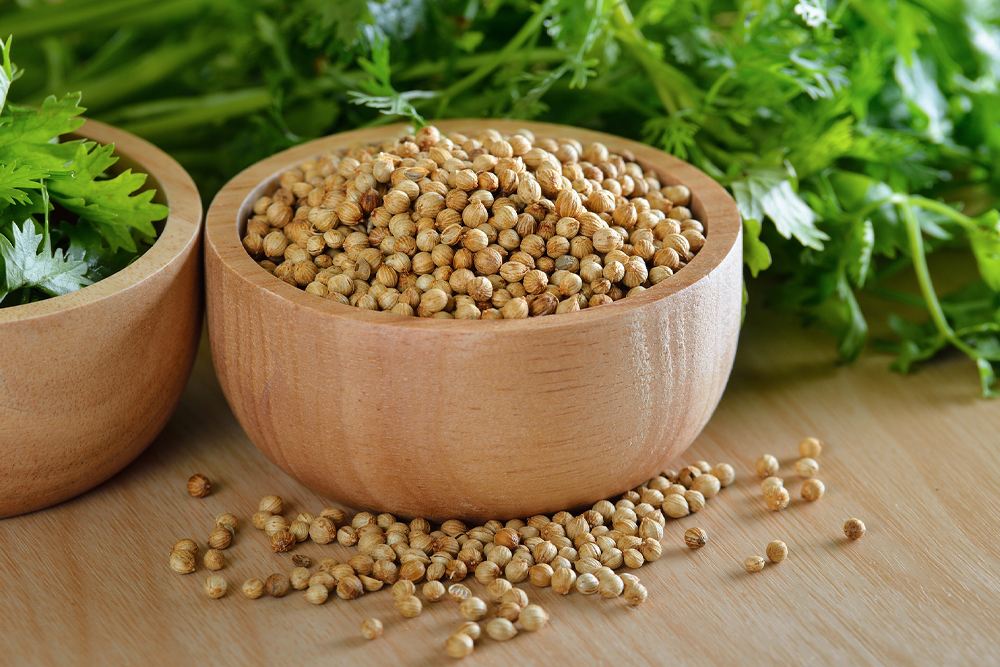 Coriandru: de la bucătărie la medicină – beneficii nutritive și rețete delicioase