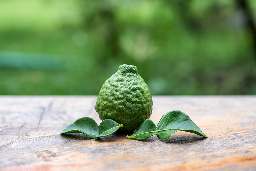 Totul despre frunzele de lime kaffir – cum le folosești corect în bucătărie
