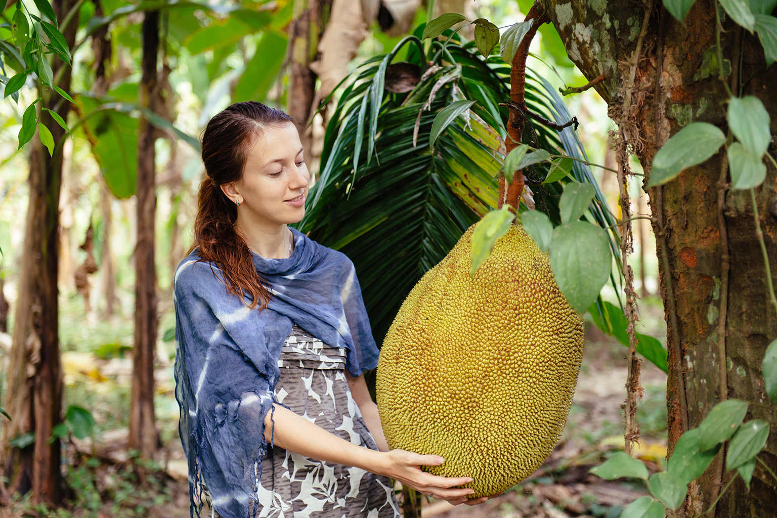Jackfruit: fructul-fenomen al Asiei tropicale