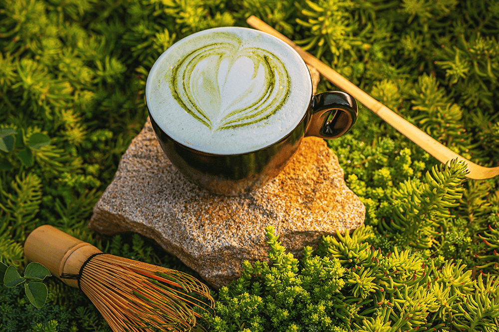 Băuturi inovatoare cu matcha Băuturi inovatoare cu matcha
